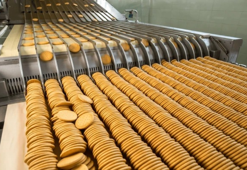 powder transfer system in Delhi